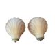 Pair of shell wall lights in frosted glass in Art Deco style.