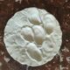 Oyster plate 19th century porcelain Haviland & Co Limoges France