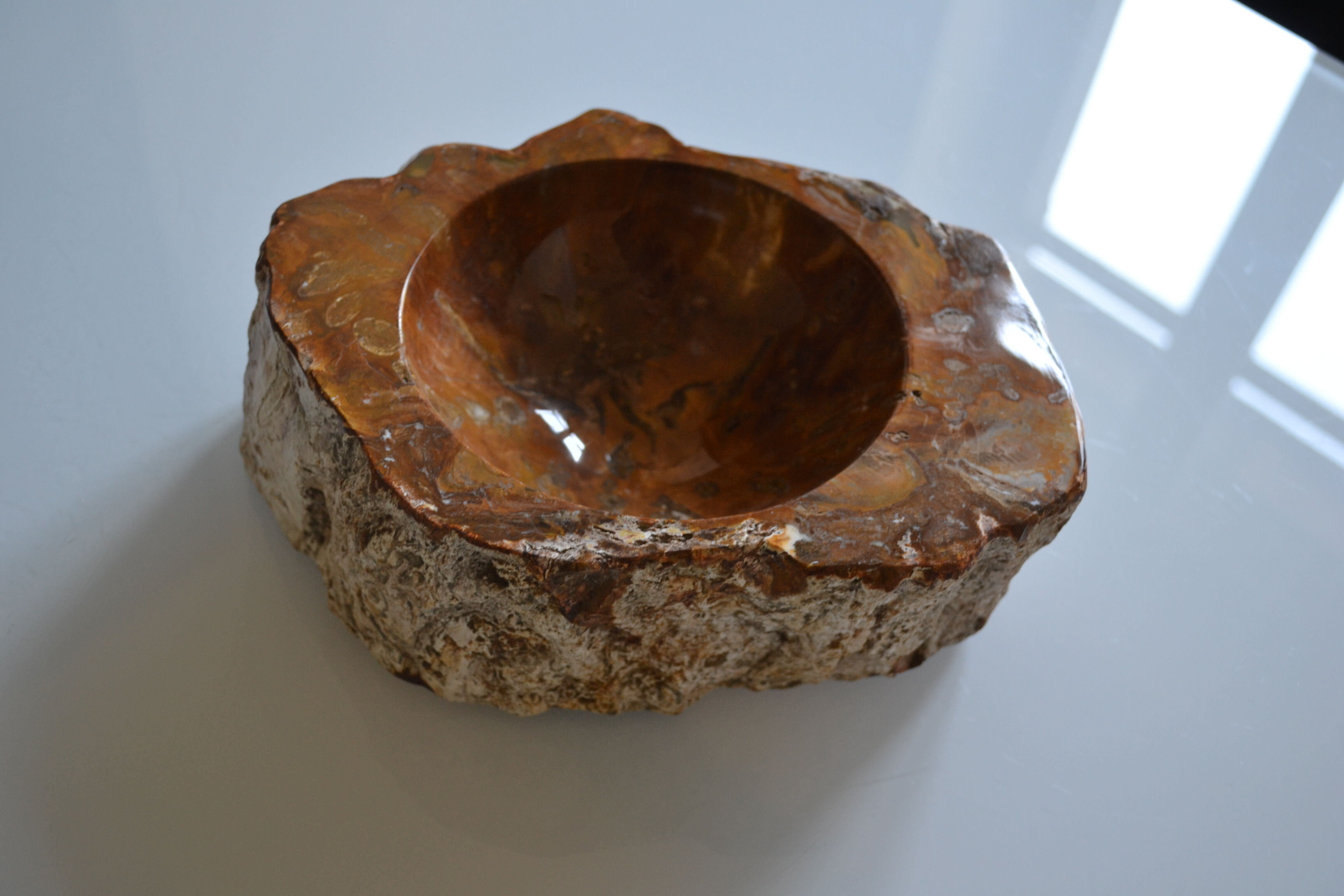 Empty pocket or ashtray in fossilized wood