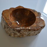 Empty pocket or ashtray in fossilized wood