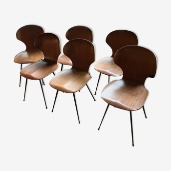 Lot de 6 chaises Lulli bois et métal par Carlo Ratti Italie années 50