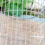 Iron basket