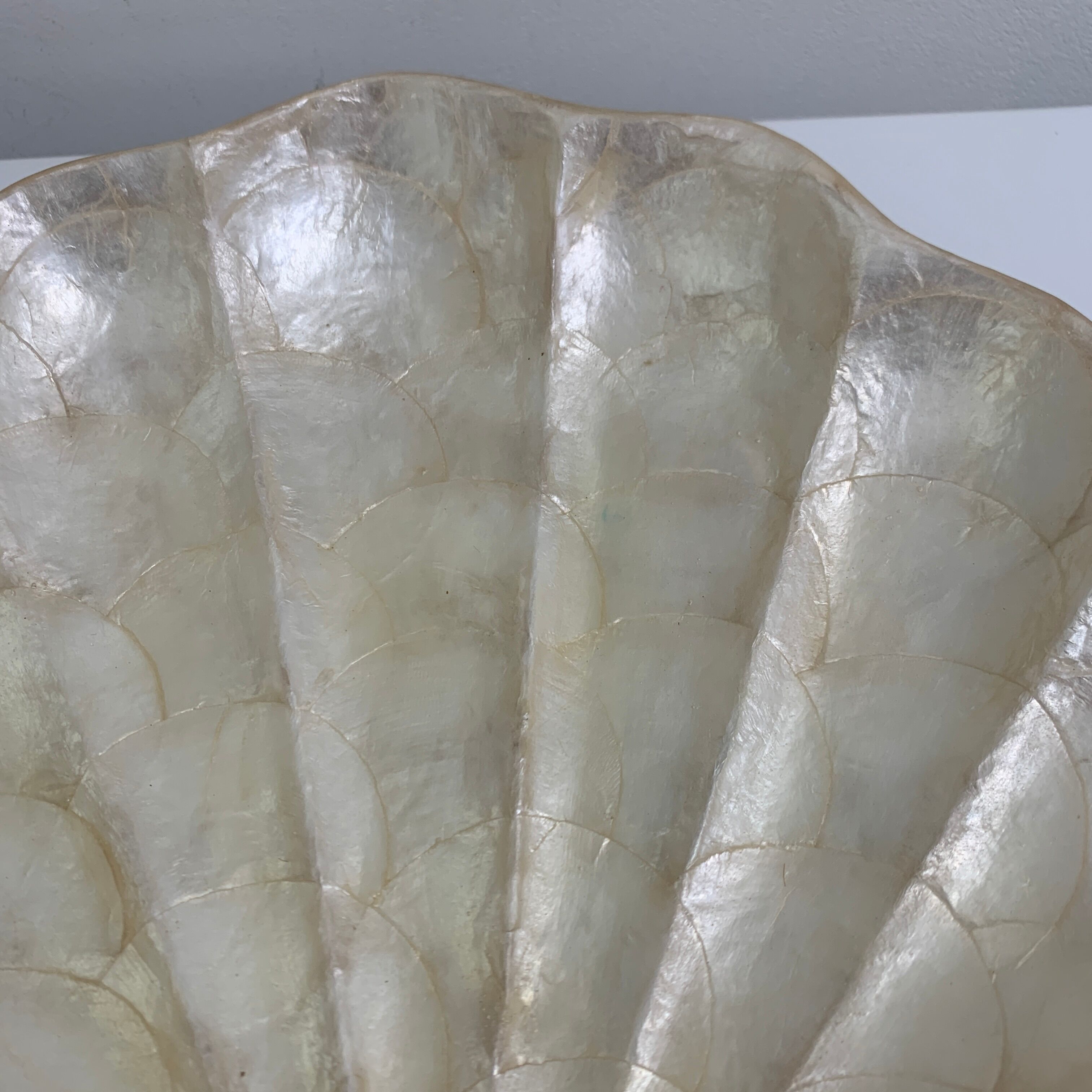 Pocket void shell-shaped shell mother-of-pearl of genuine Capiz