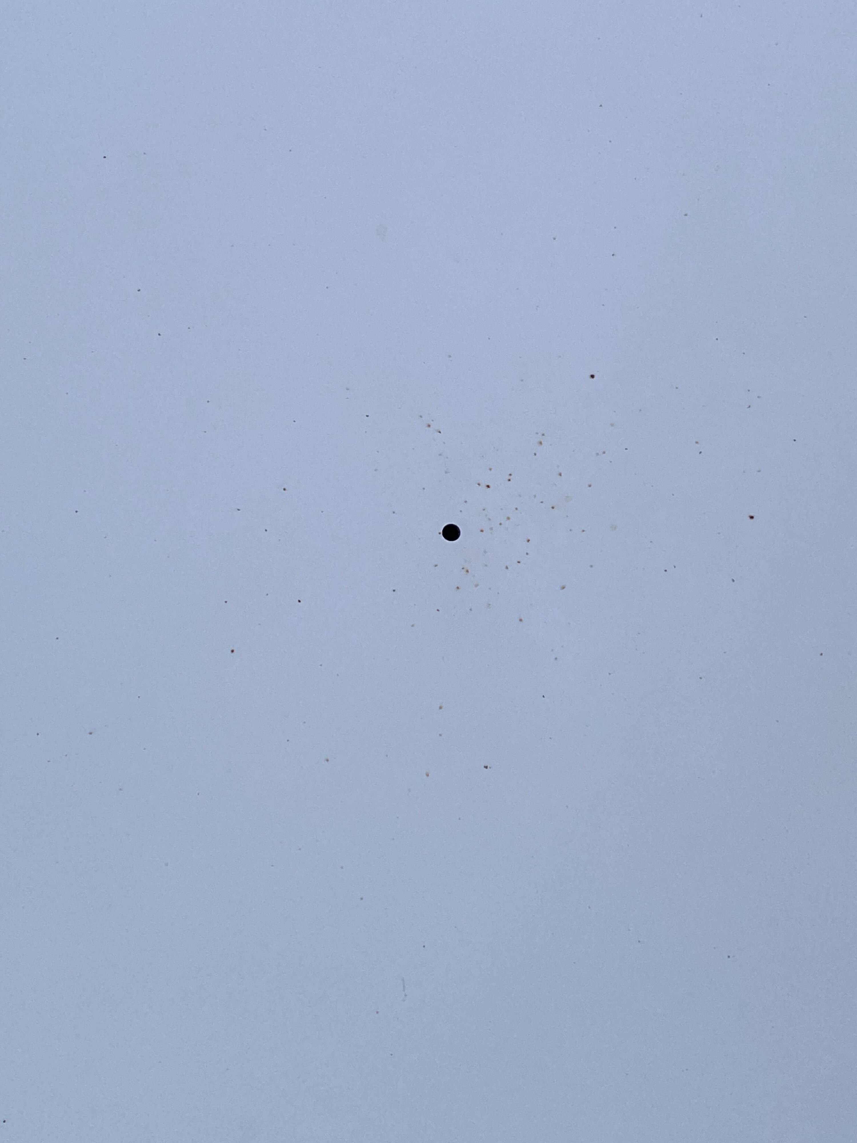 Vintage 1970s Zublena sun lounger poolside sunbathing chair relax seat