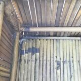 Bamboo trunk 1960 70