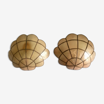 Pair of mother-of-pearl shell sconces