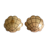 Pair of mother-of-pearl shell sconces