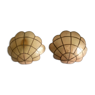Pair of mother-of-pearl shell sconces