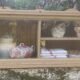 Glass shelf