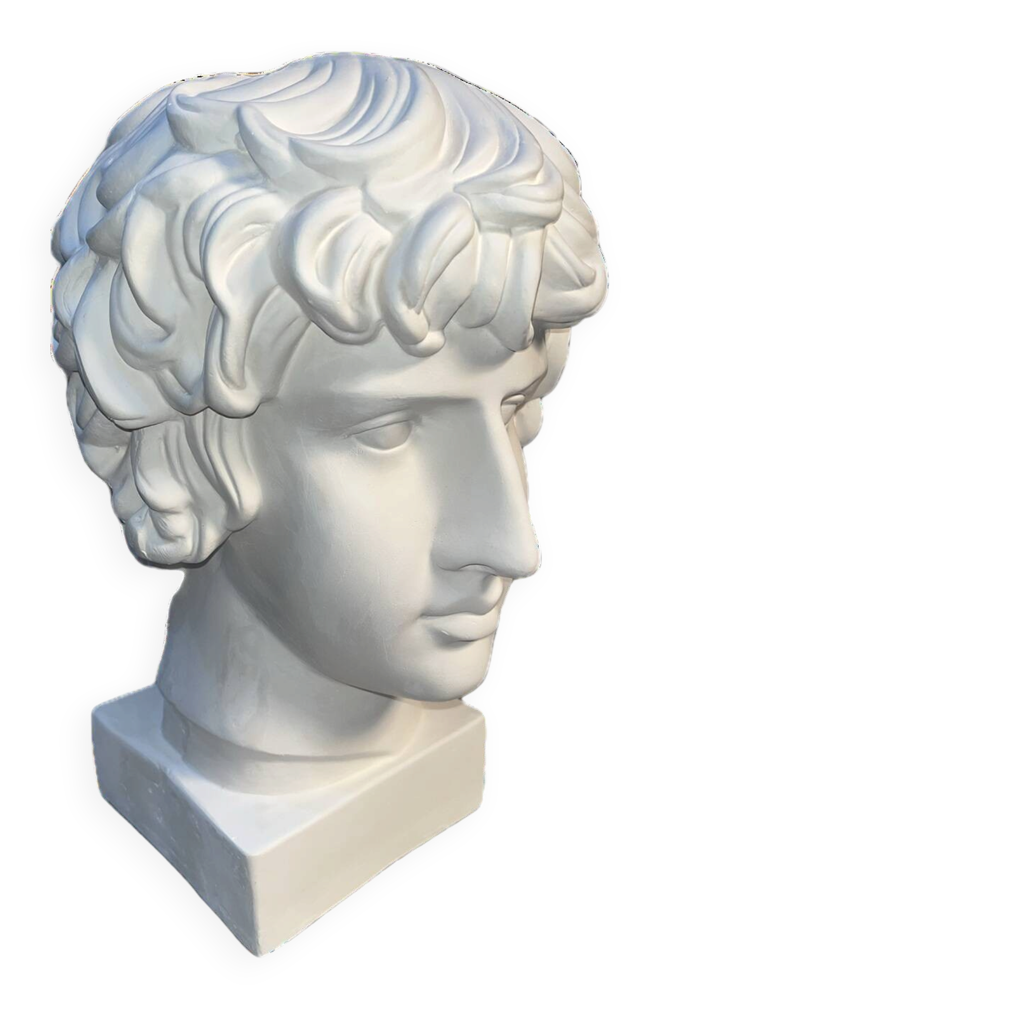 Buste en plâtre d'Antinous - Réplique de l'Antinous de Farnèse