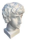 Buste en plâtre d'Antinous - Réplique de l'Antinous de Farnèse