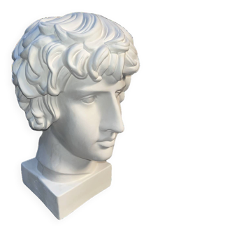 Plaster bust of Antinous - Replica of the Farnese Antinous