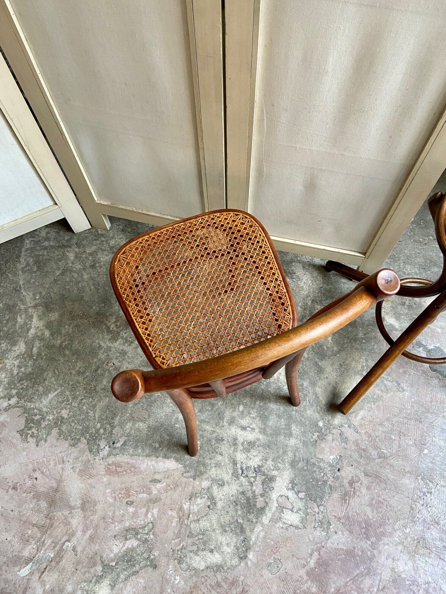 Chair 56 in arched beech and canning by Michael Thonet for Thonet Wien