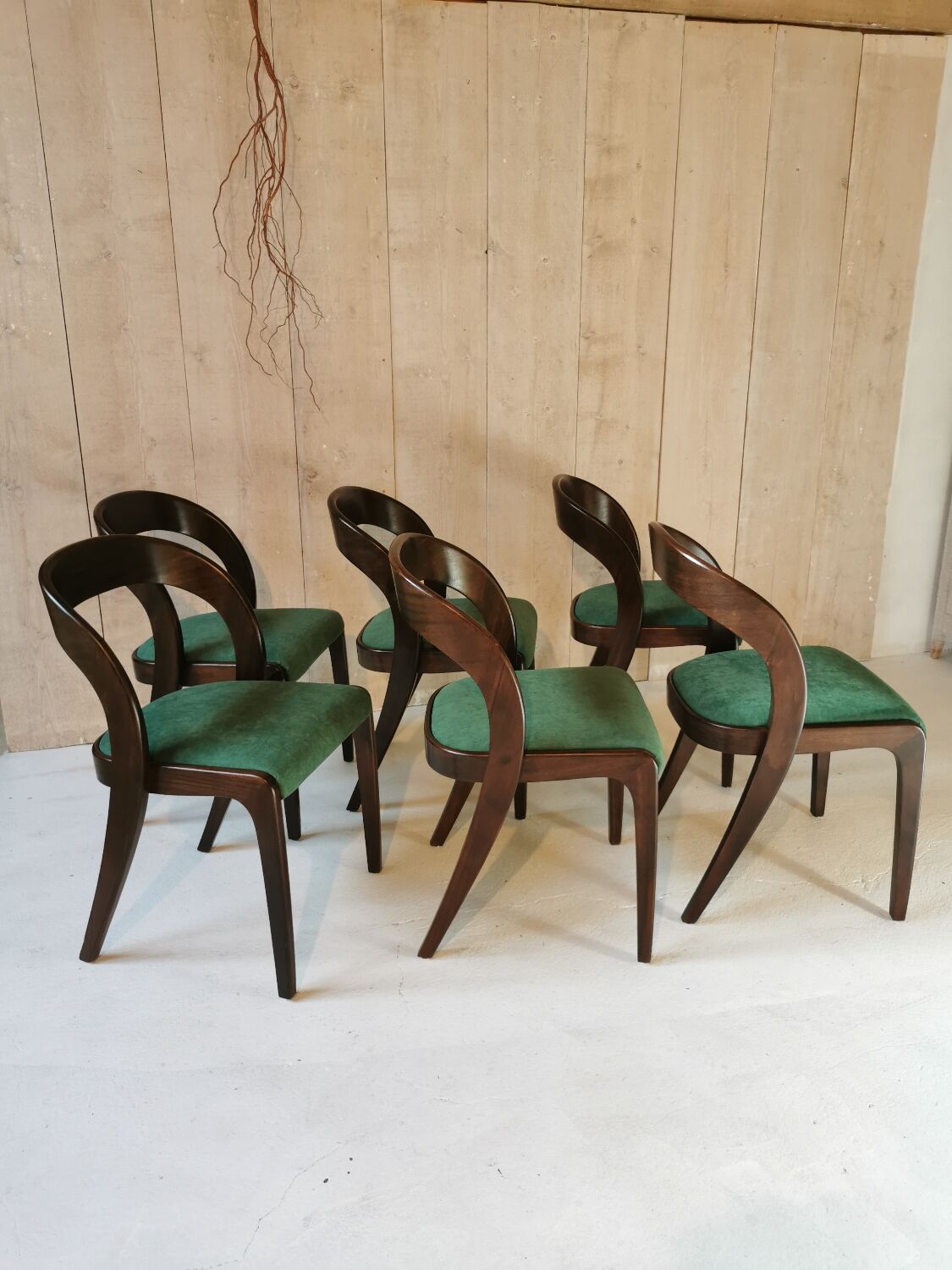 Baumann chairs
