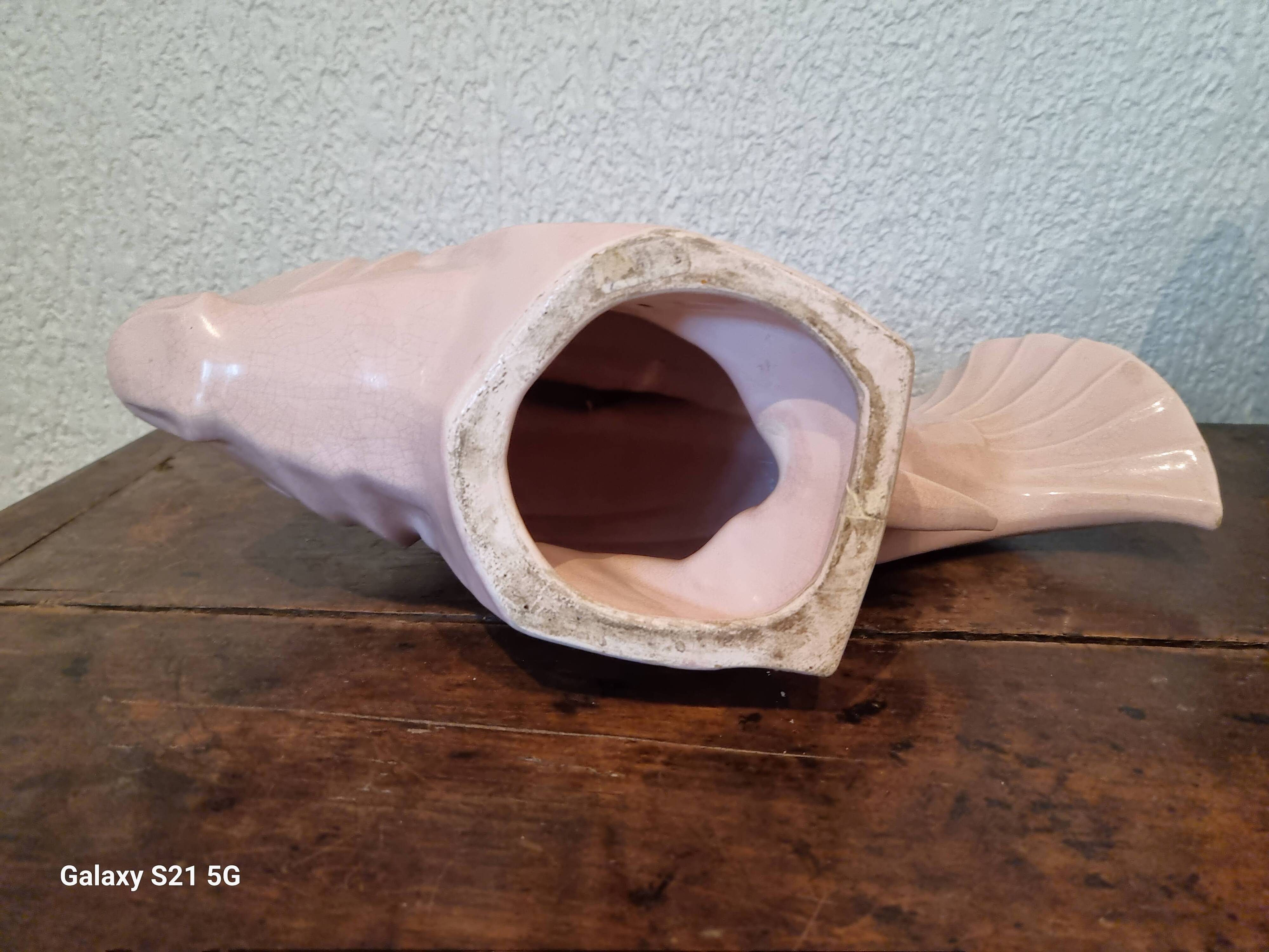 Poisson le jan signe
