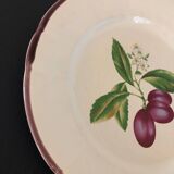 Vintage earthenware dish from Niederviller