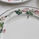 Flat plates 9 earthenware, model Palermo de Villeroy and Boch
