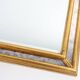 French gilt Louis Philip style mirror decorated with smoked mirror glass