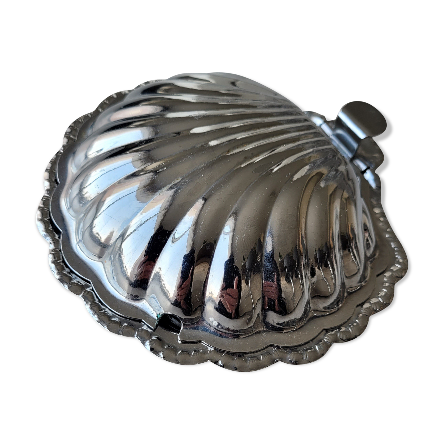 Butter scallop shell