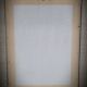 Hundred leaf rose lithograph