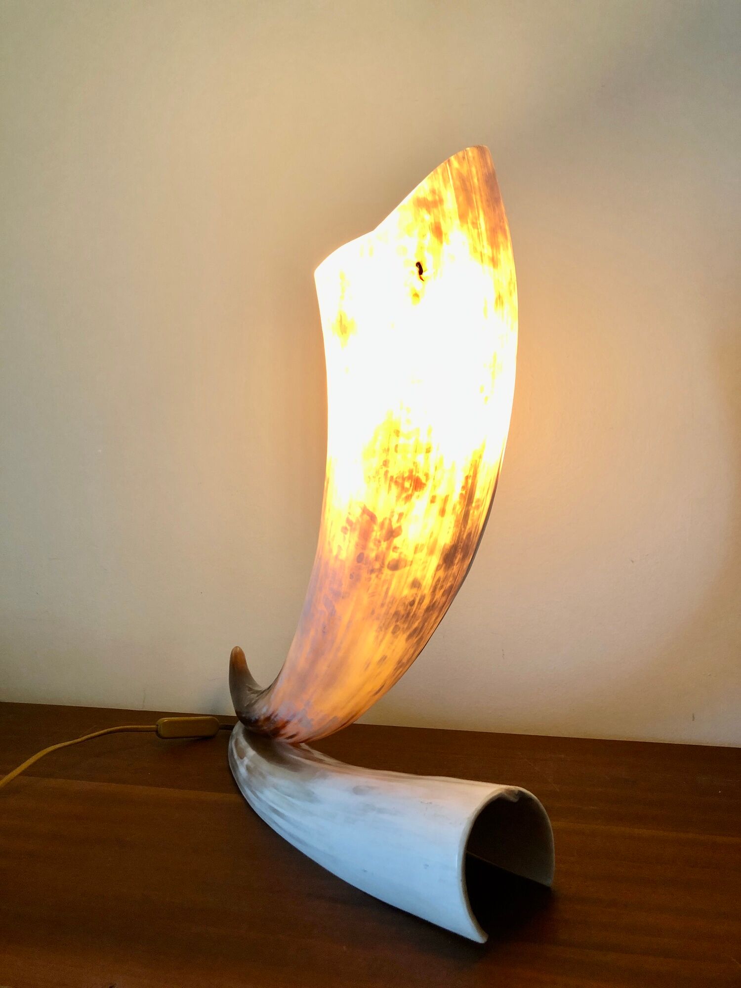 Grande lampe corne
