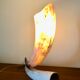 Grande lampe corne