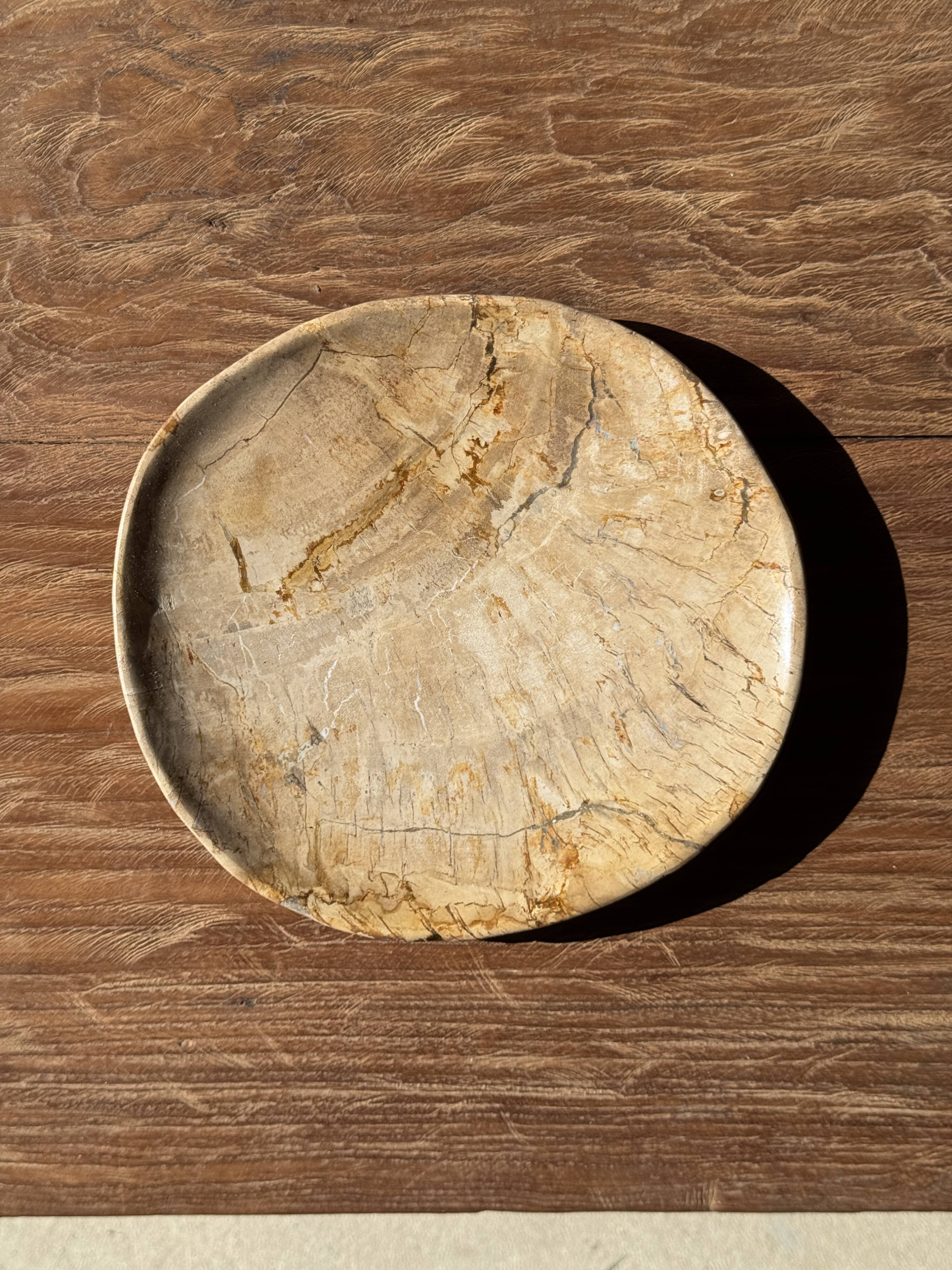 Small pocket tray or circular beige petrified wood dish D22.5-20 -3310