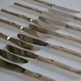 12 couteaux de table manches métal argenté & lames inox 22 cm