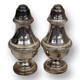 Salt shaker and pepper shaker in silver metal