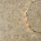 Magnussen Ponte coffee table - Mactan stone