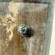 Porte ancienne 6 carreaux 86x243