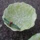 Set of 3 vintage asparagus and cabbage leaves slip dishes made in Italy