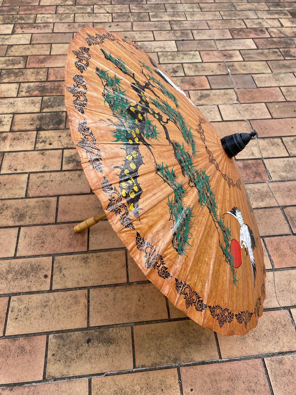 Asian umbrella