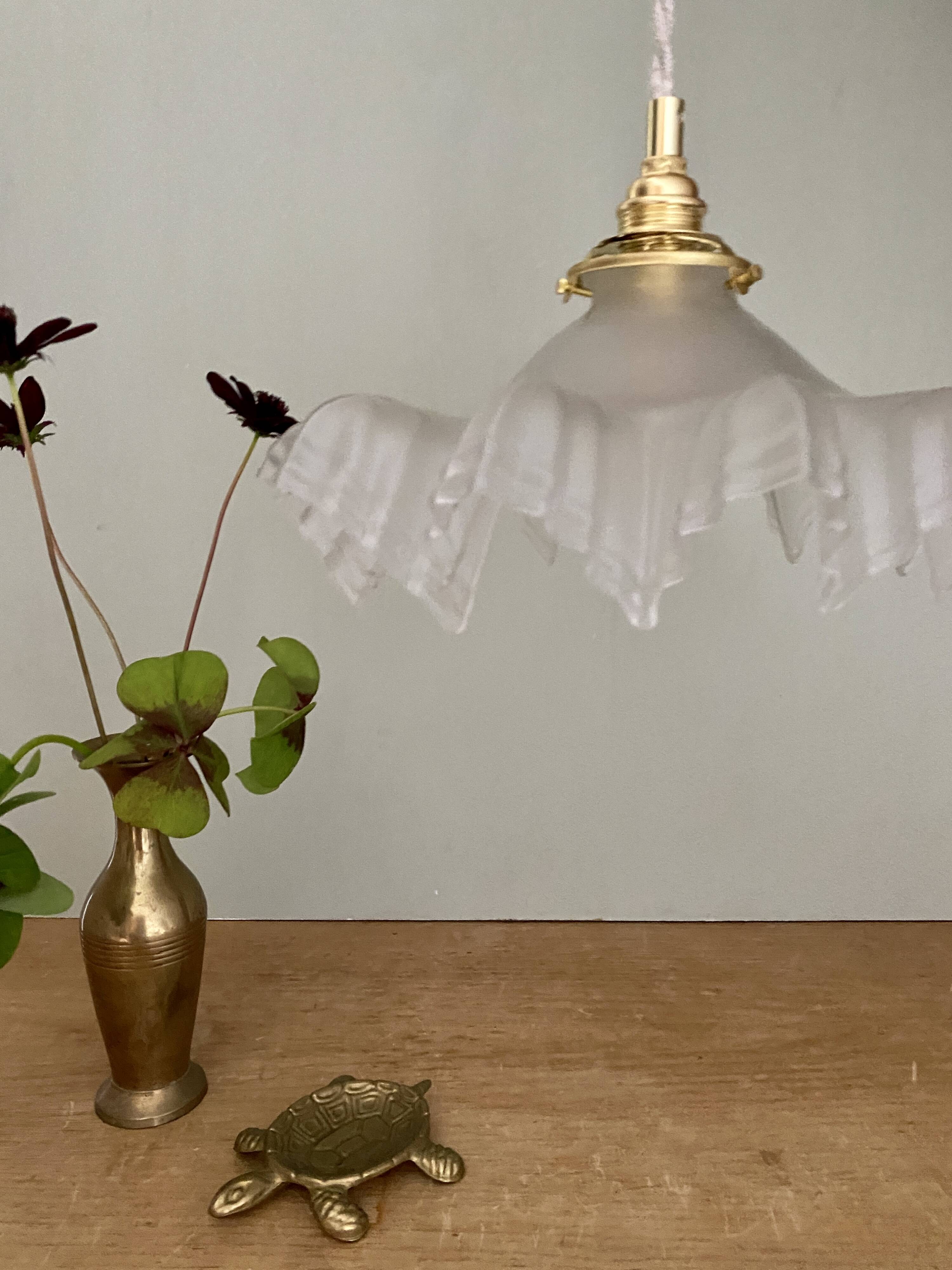 Vintage frosted glass lampshade pendant light