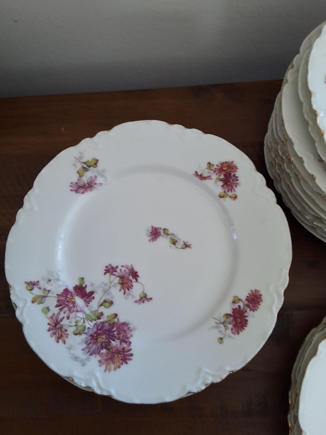 12 VINTAGE PORCELAIN PLATES "HAVILAND"