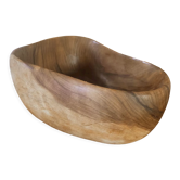 Empty pocket in olive wood