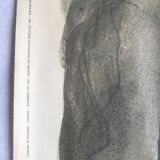 Poster Georges Braque litho offset 1956 - Three red birds -