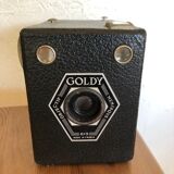 Goldy meniscus 6x9 camera