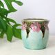 Mini slip planter