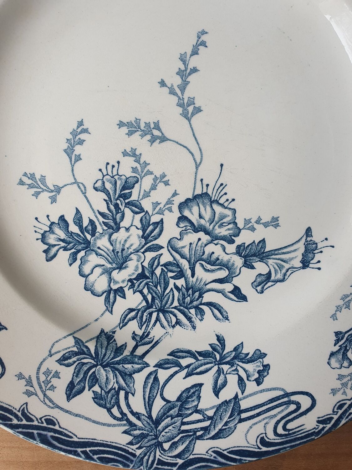 Longwy Azalea plates
