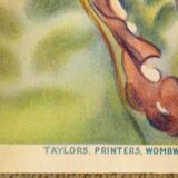 Cinderella pantomime vintage by Taylors of Wombwell England 1930 s poster