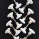 Set of 18 porcelain handles (B-0049-1)