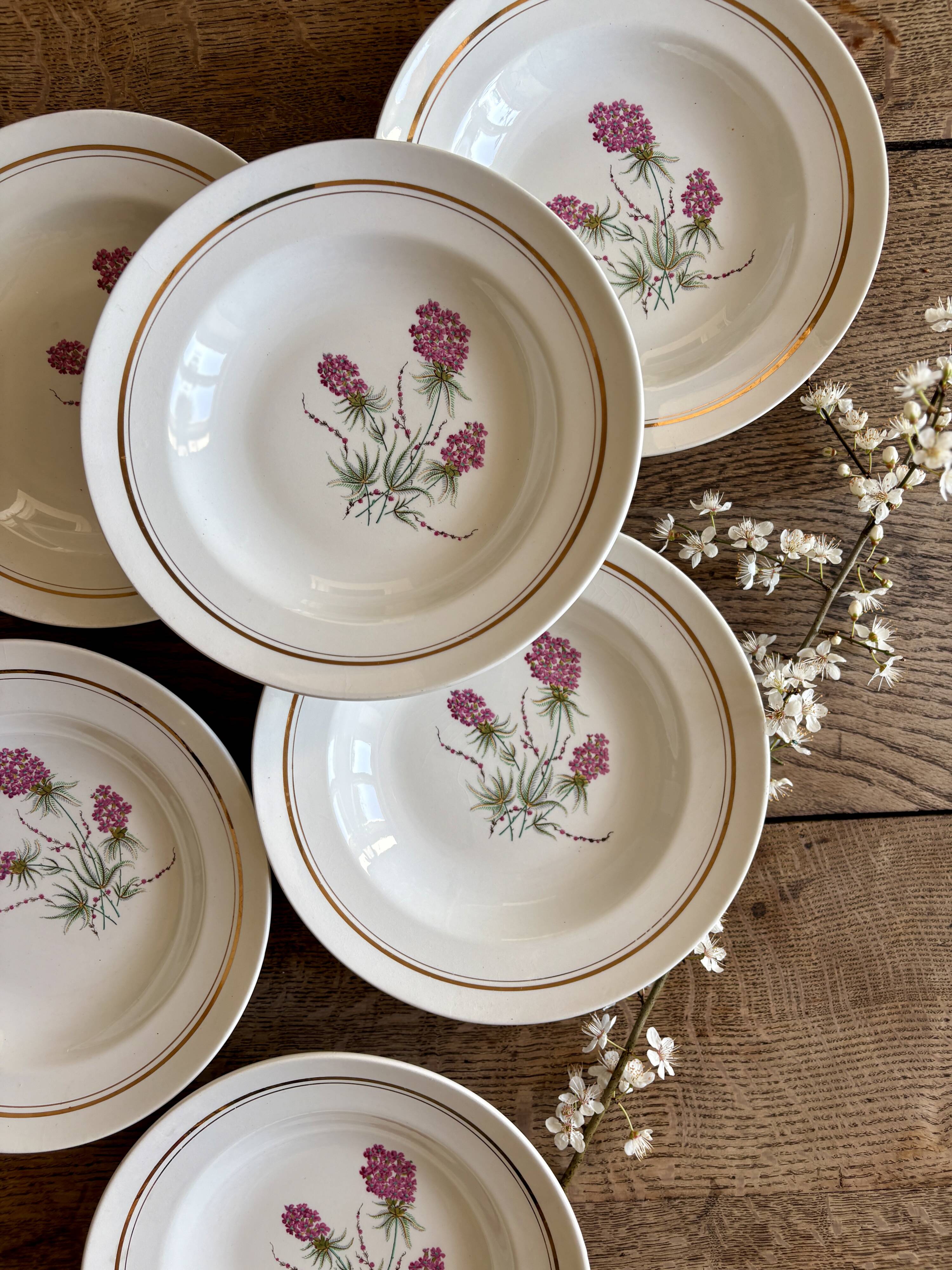 Set of 6 vintage deep plates - Moulin des Loups