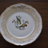 Lot de 5 assiettes à dessert "oiseaux différents"