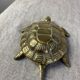 Brass Turtle Ashtray