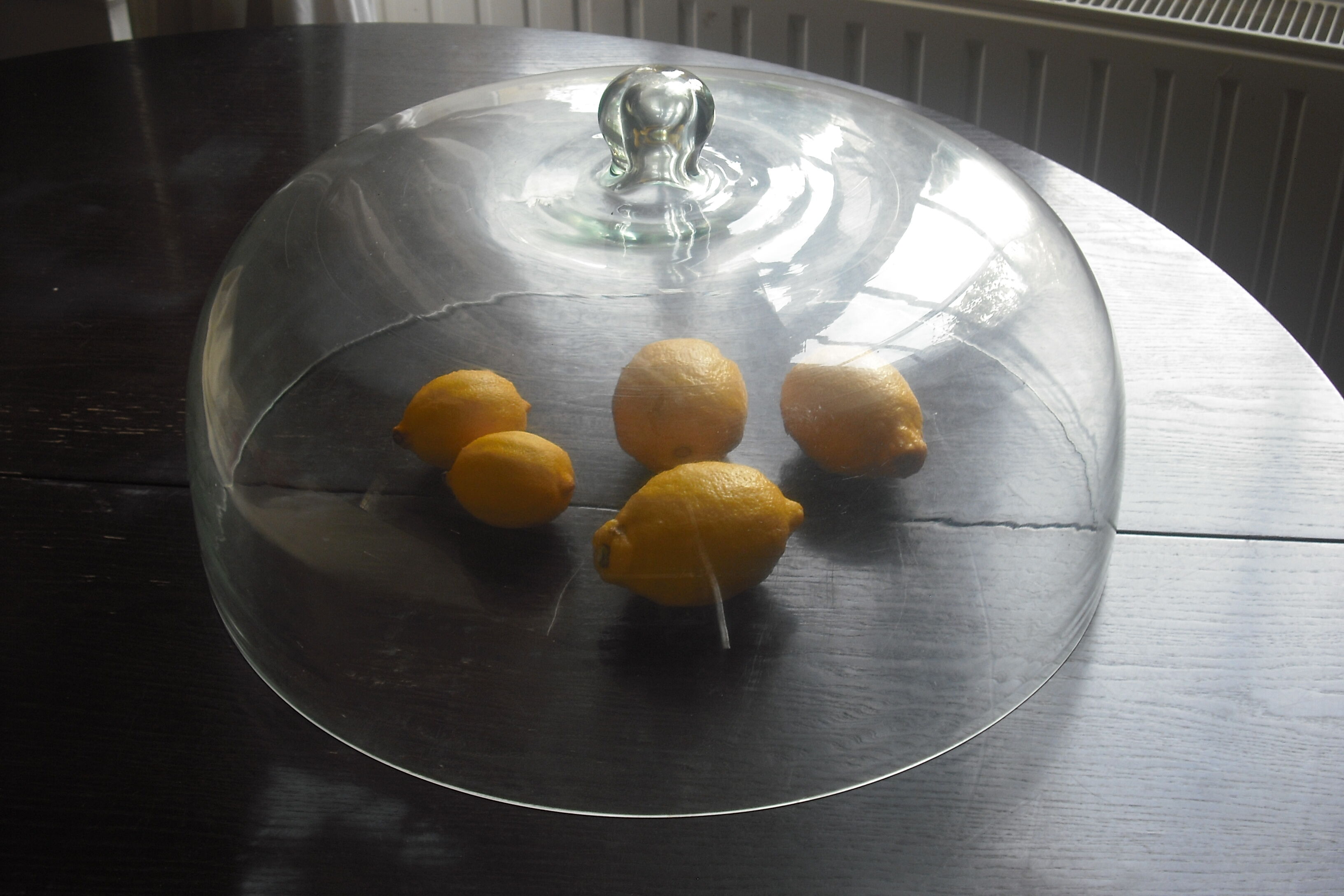Cloche en verre 41x21cm