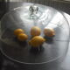 Cloche en verre 41x21cm