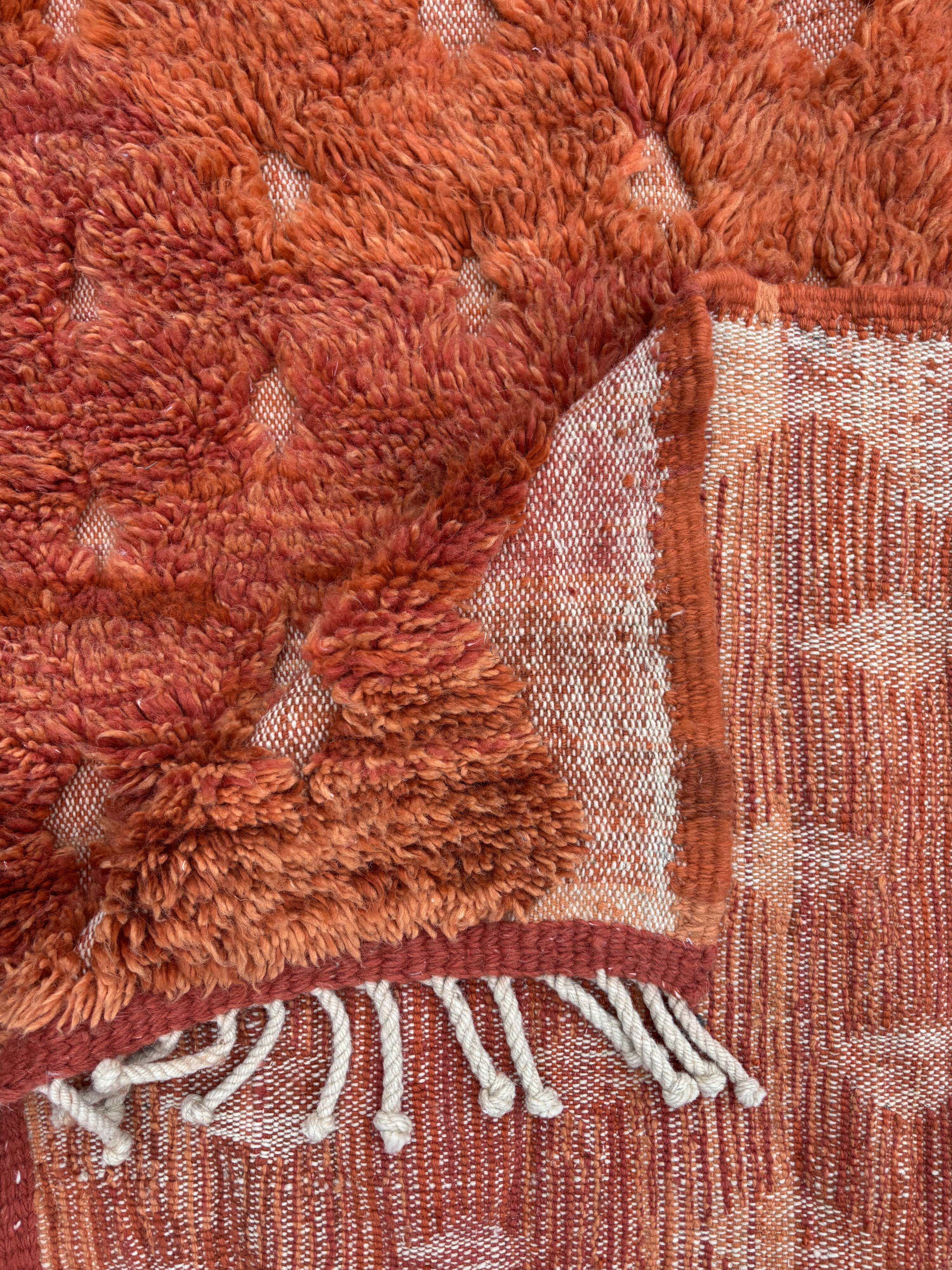 Small Berber Ben M'rirt wool rug