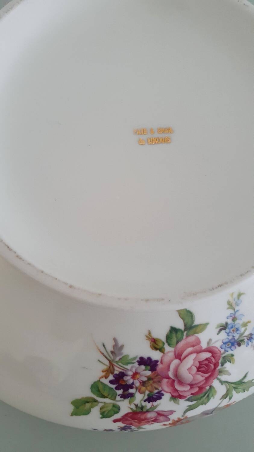 Limoges enamelled porcelain soup tureen
