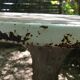 Garden table